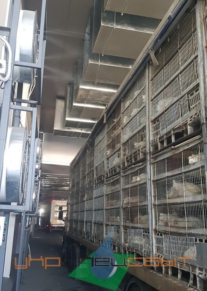 2018 Охлаждение в комплексе переработки курятины на предприятии ТМ 