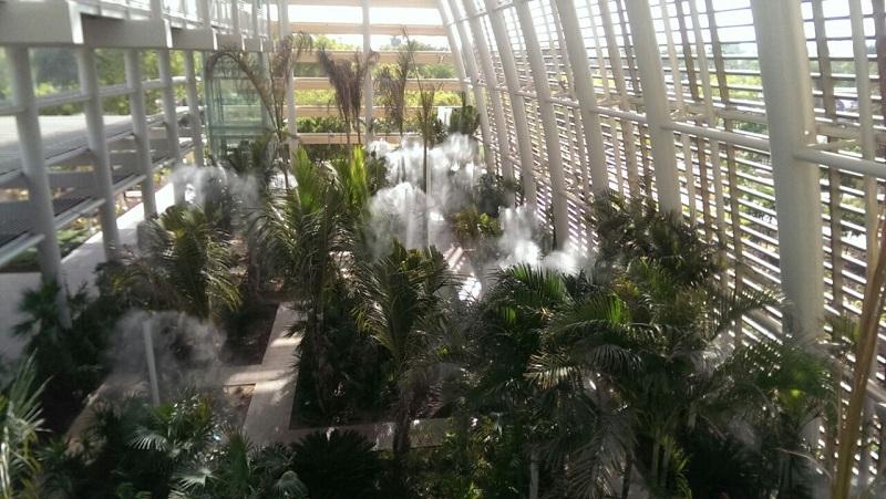 Системы тумана в оранжереях, зимних садах  и парках