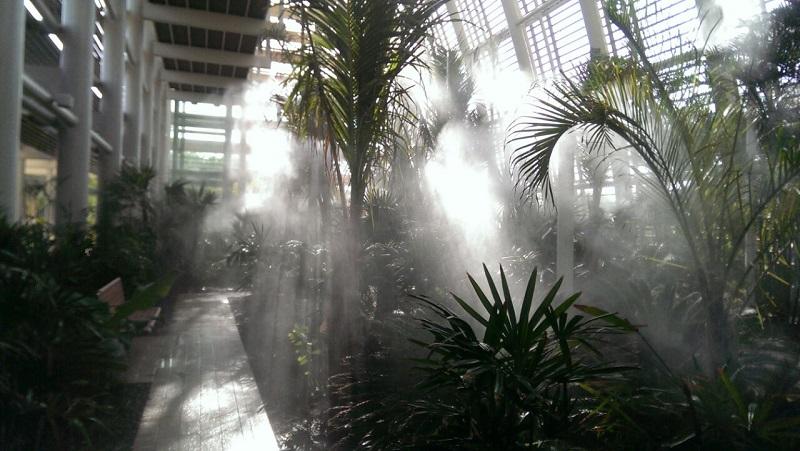 Системы тумана в оранжереях, зимних садах  и парках