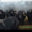 Охлаждение туманом Tecnocooling на буйволиной ферме TASbio
