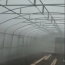 Охлаждение туманом в питомнике лесхоза